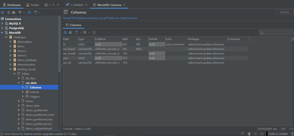 DbVisualizer Listing Columns in the car_data table in MariaDB